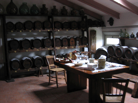balsamic vinegar in Modena